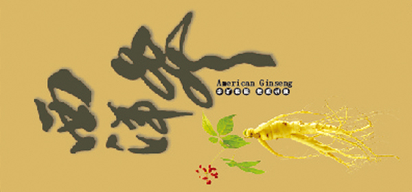 西洋參推拉鐵盒.jpg 西洋參推拉鐵盒.jpg