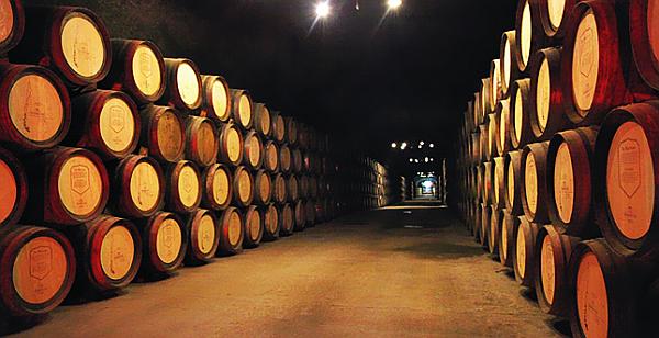 81474126385861_article8.jpg 81474126385861_article8.jpg