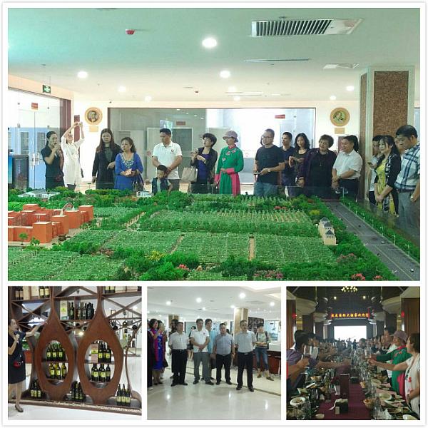 81474126288113_article8.jpg 81474126288113_article8.jpg