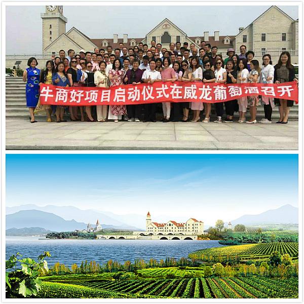 01474126536273_article0.jpg 01474126536273_article0.jpg