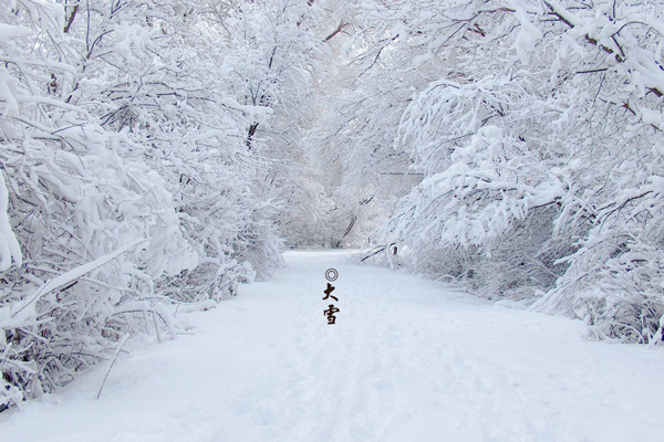 保健品鐵盒 保健品鐵盒