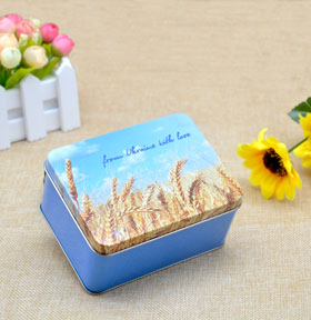 馬口鐵盒長方形促銷禮品鐵盒